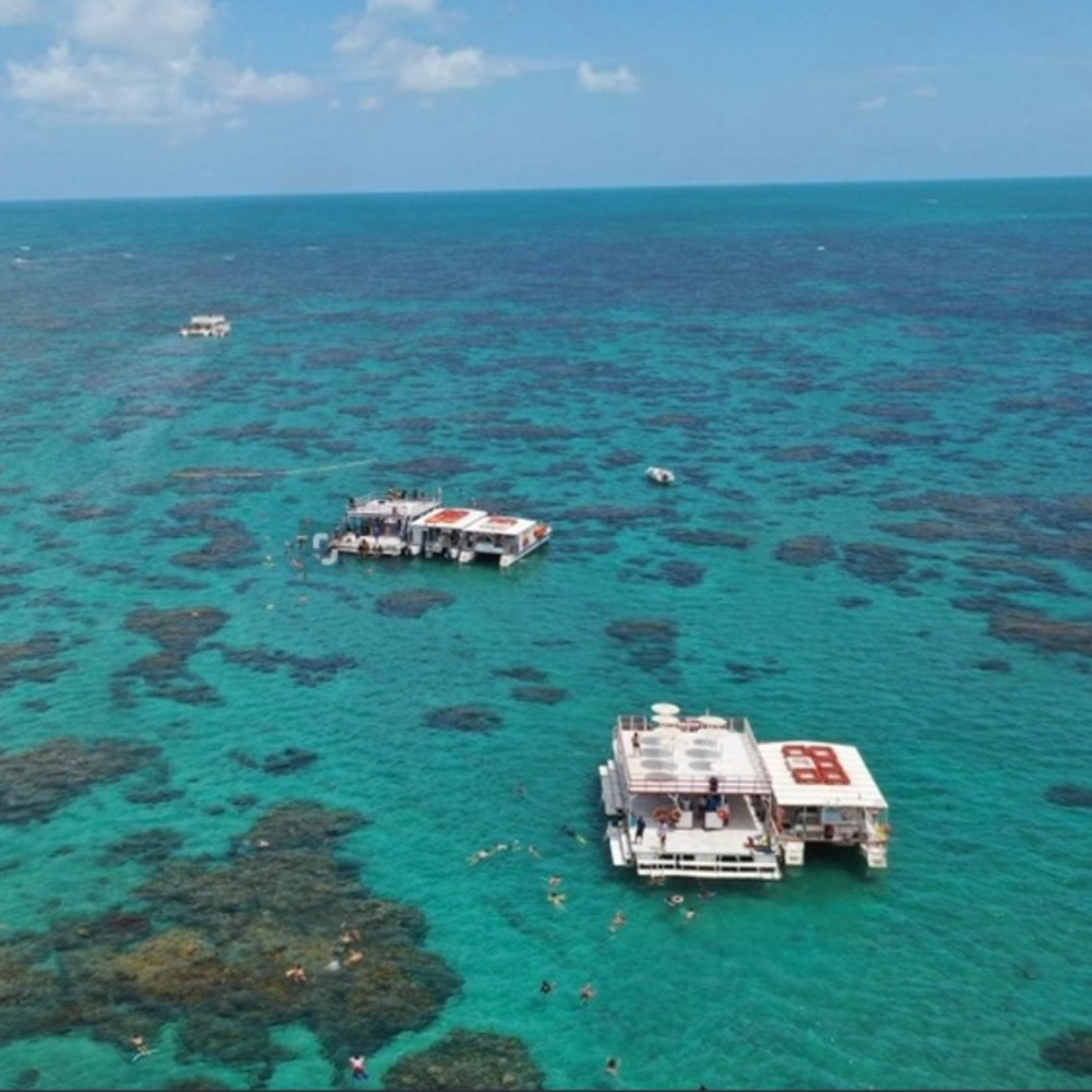 Parrachos de Maracajaú 01